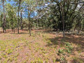 Lot 25 Ridgewood Road - Photo 1