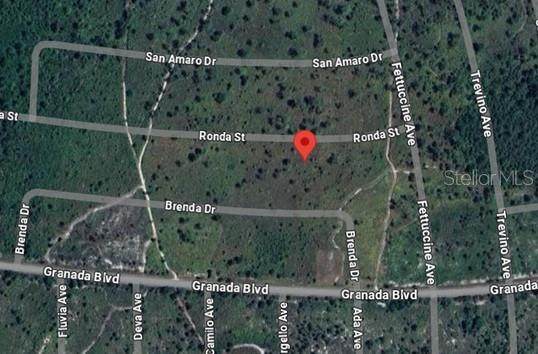 7811 Ronda Street - Photo 1