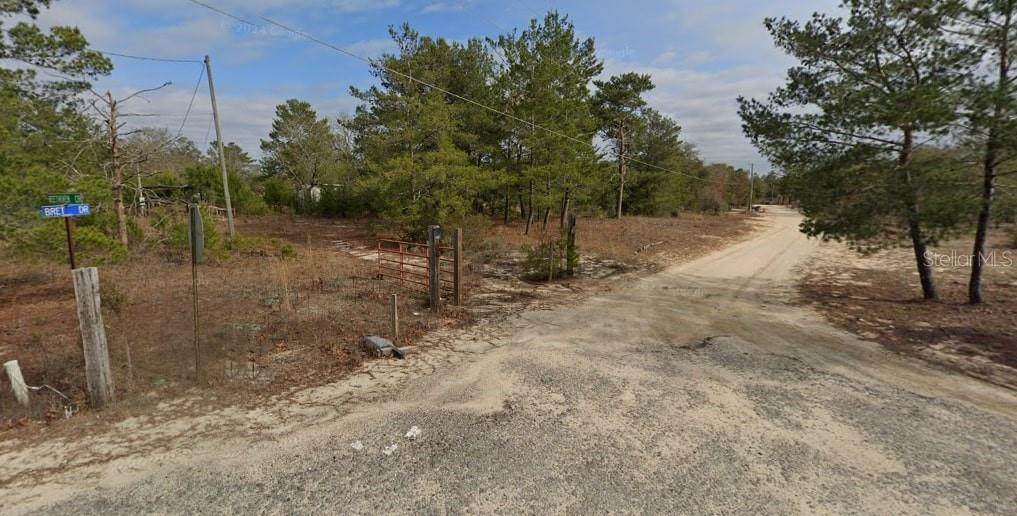 TBD Bret Drive - Photo 1