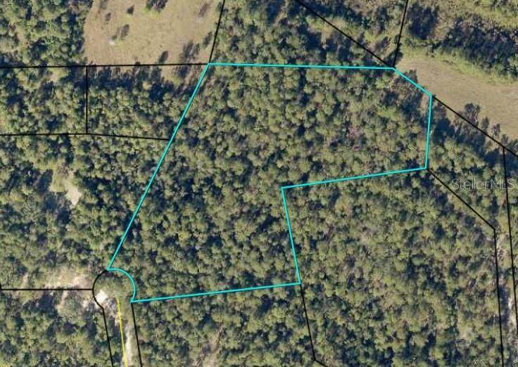 TBD Bear Head Road - Photo 1