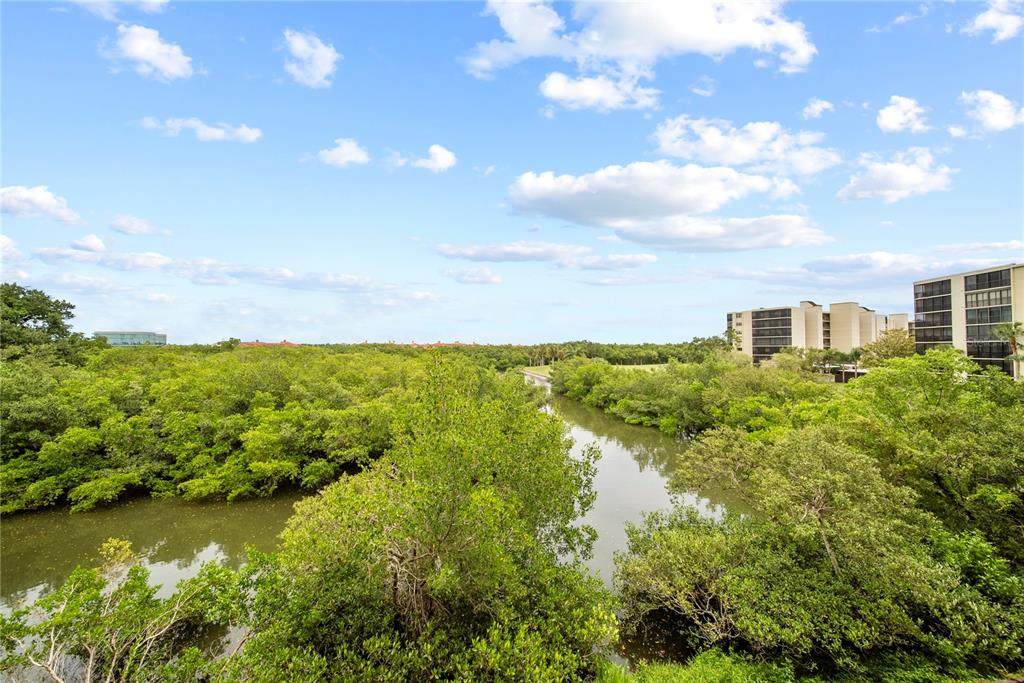 900 Cove Cay Drive - Photo 1