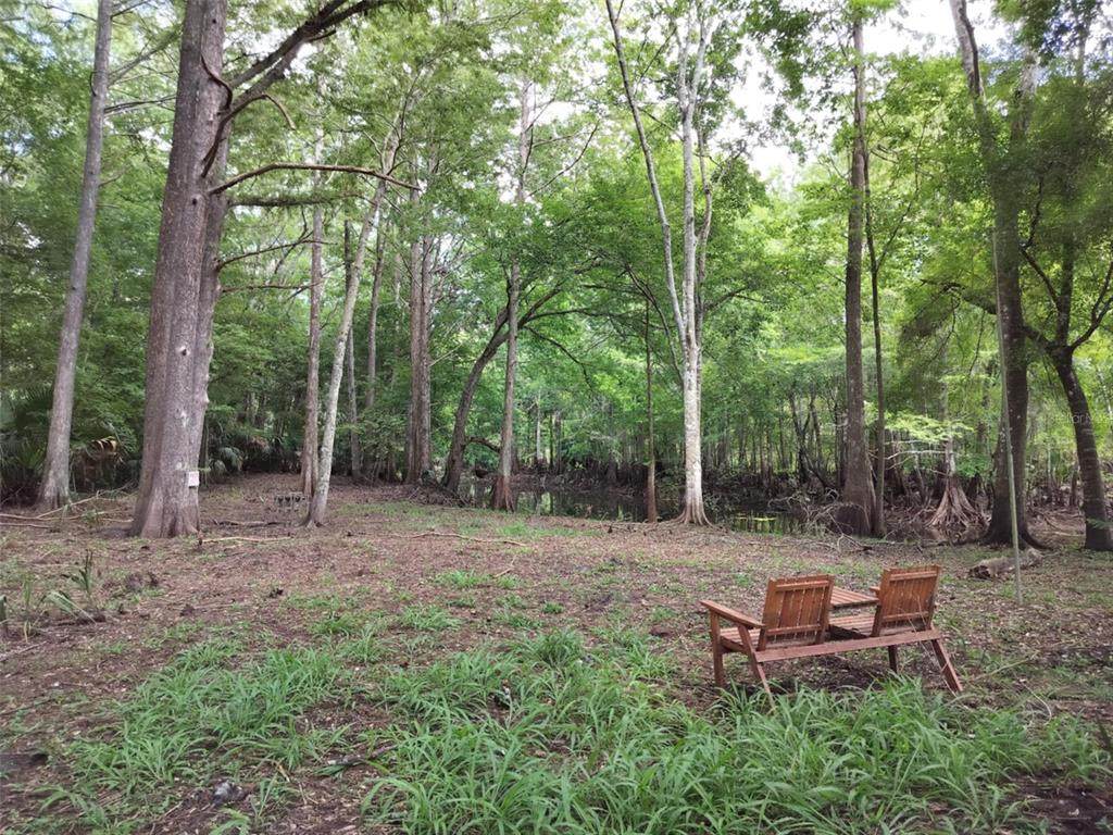 523 Tuck Point - Photo 1