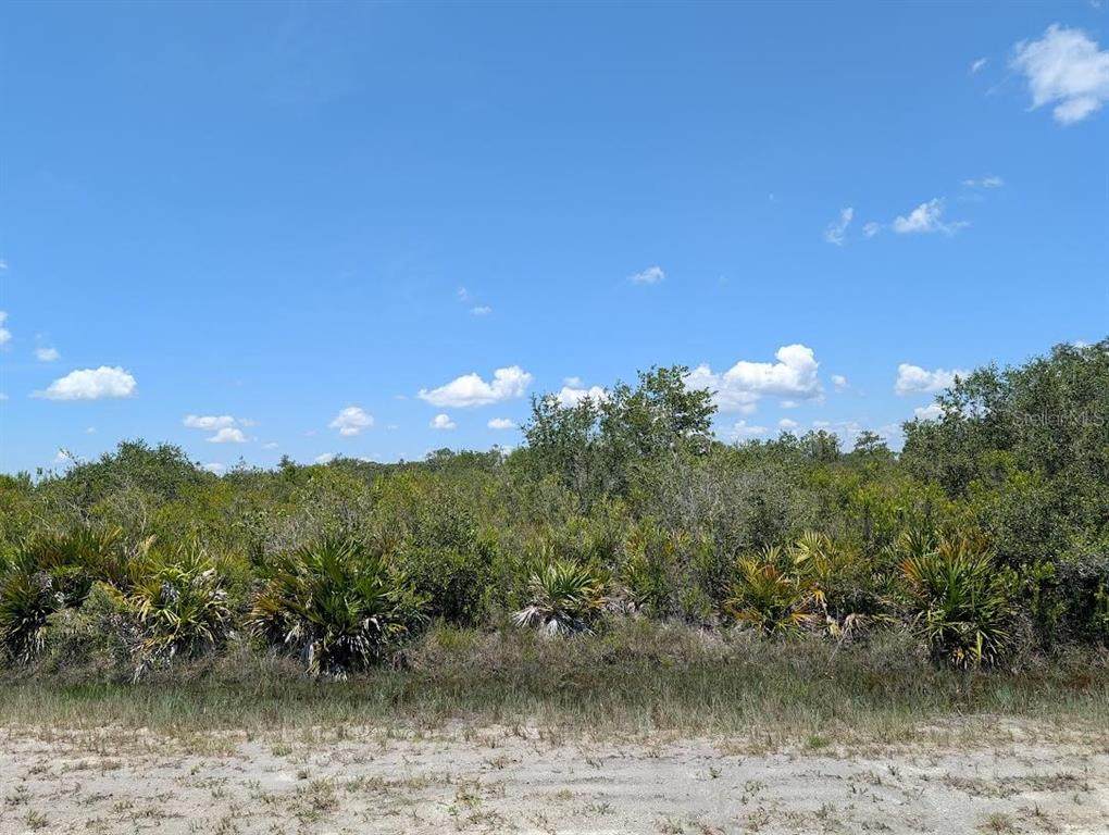  Sarasota Drive - Photo 1