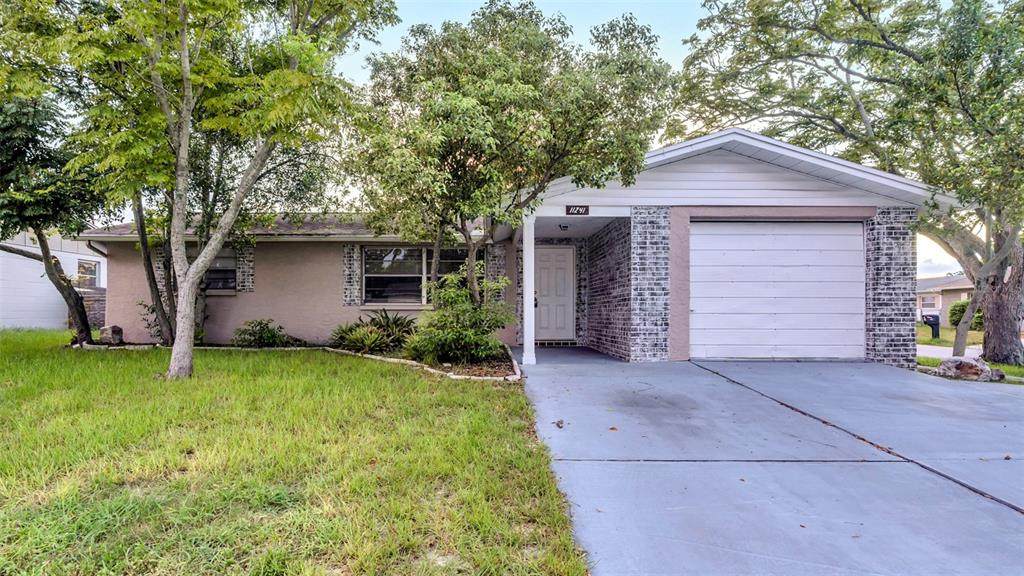 11241 Snyder Avenue - Photo 1