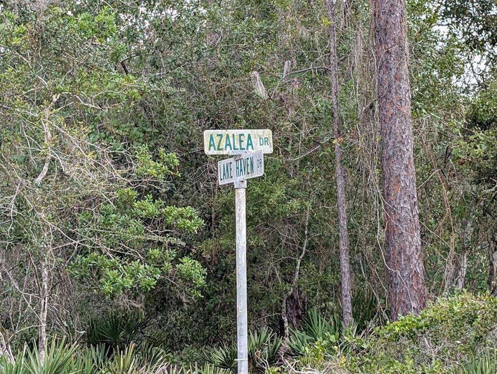 408 Azalea Drive - Photo 1