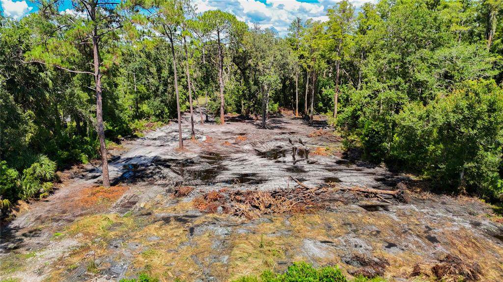  Anno Street - Photo 1