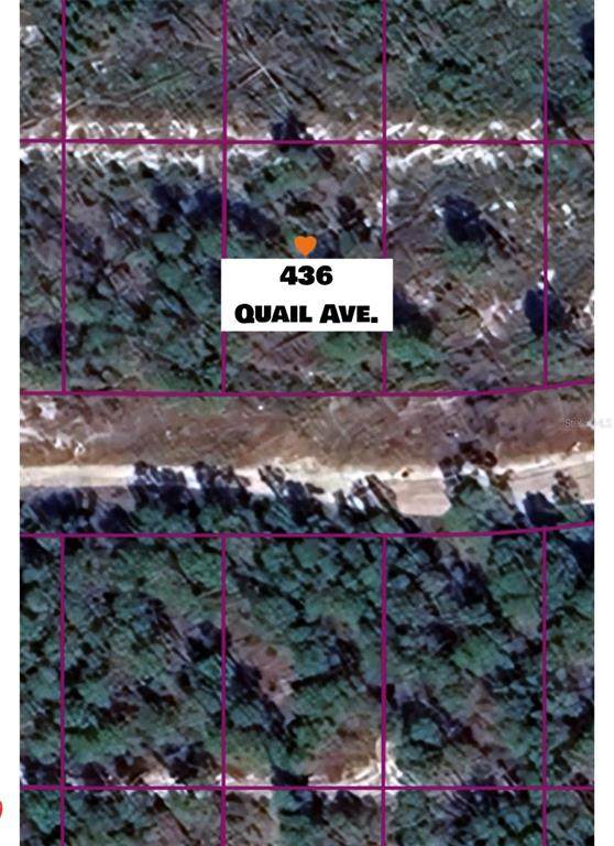 436 Quail Avenue - Photo 1