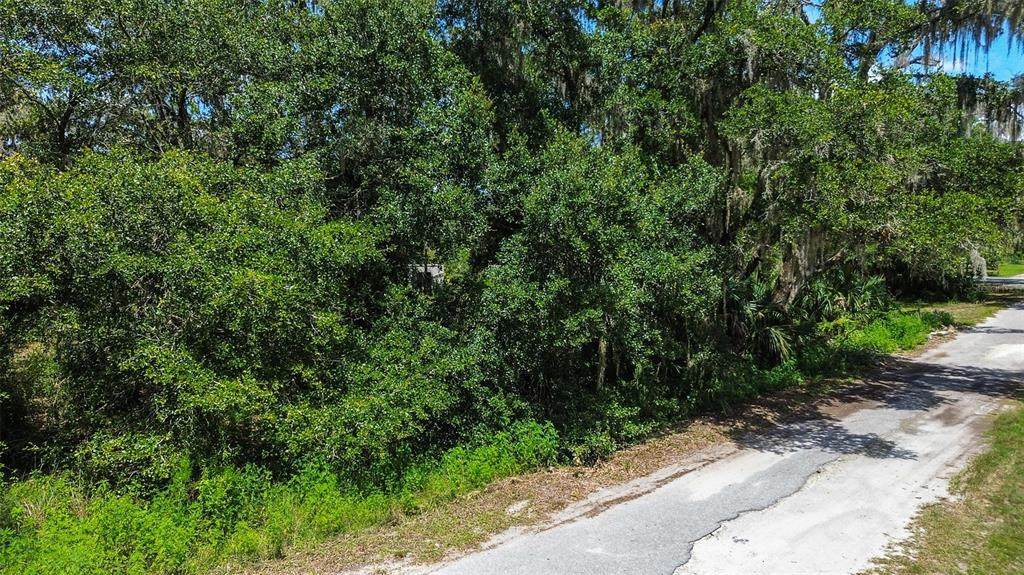 8683 Bellflower Way - Photo 1