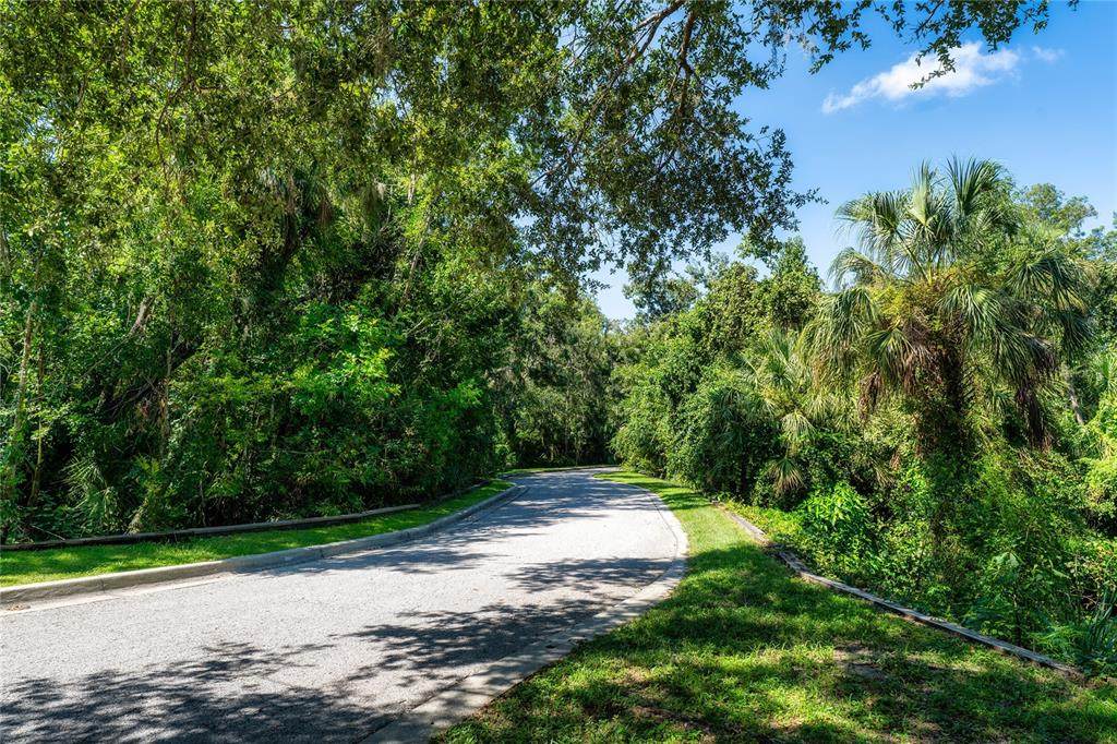 4706 Rambling River Road - Photo 1