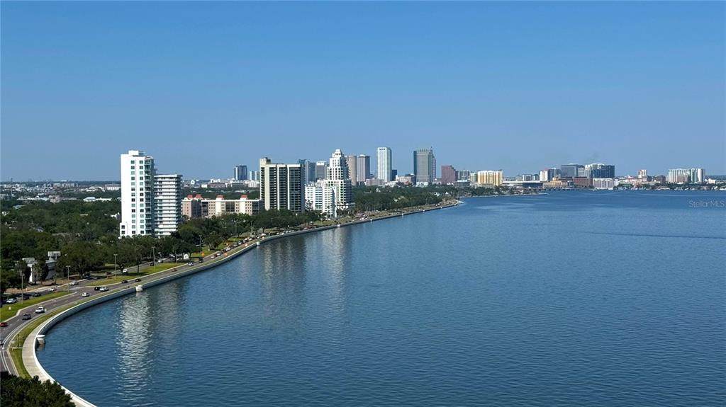 3301 Bayshore Boulevard - Photo 1