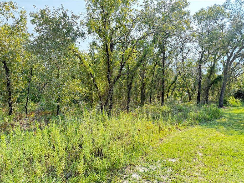 11096 Marsh Wren Avenue - Photo 1