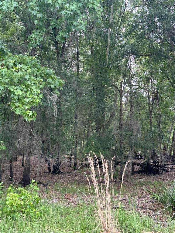0 Palamino Lake Drive - Photo 1