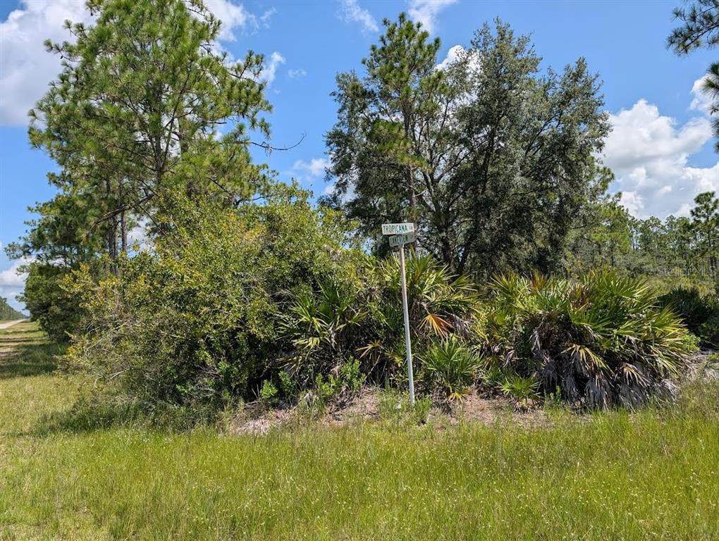 1113 Tropicana Drive - Photo 1