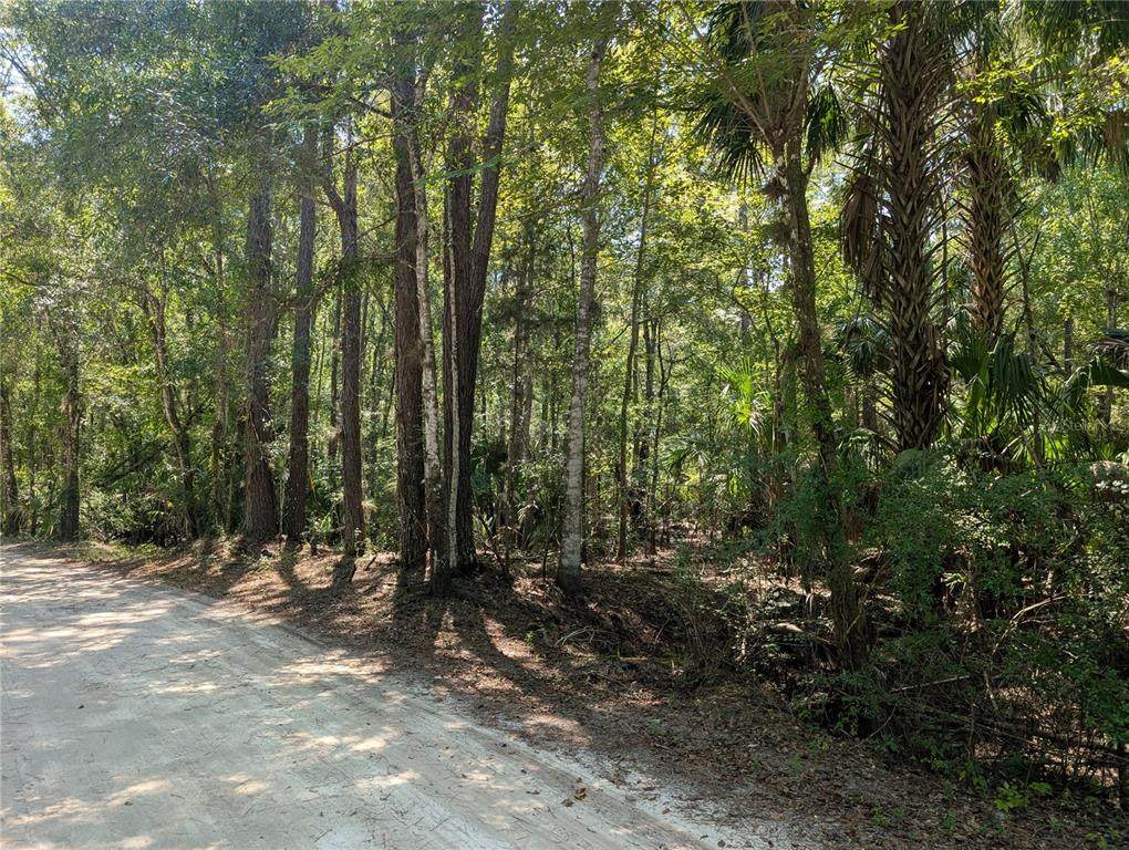 6252 River Road - Photo 1