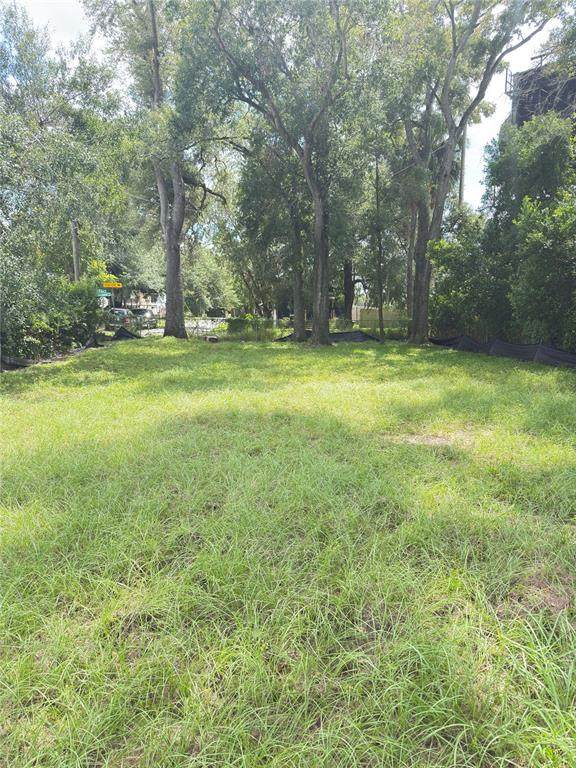 804 Knollwood Street - Photo 1