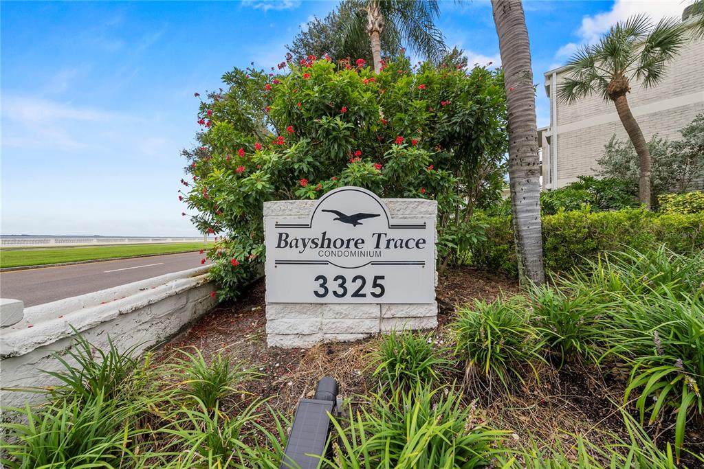 3325 Bayshore Boulevard - Photo 1