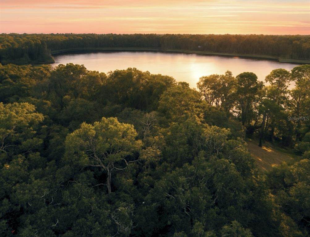  Rogers Road - Photo 1