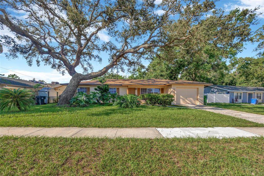 4429 Dolphin Drive - Photo 1