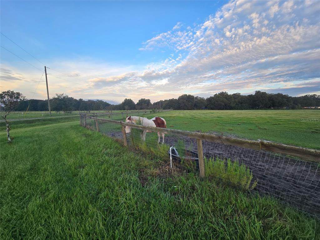 9233 12TH Drive - Photo 1