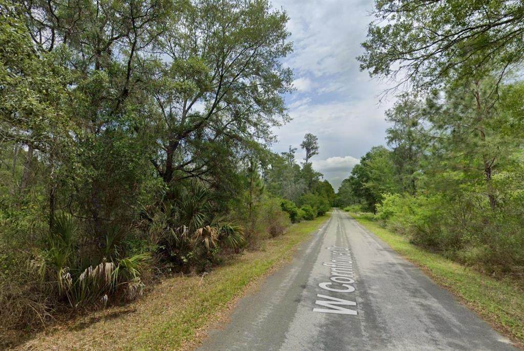 9744 Bonsai Avenue - Photo 1