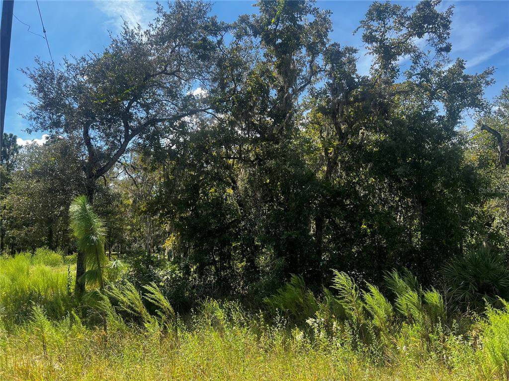 0 Crider Road - Photo 1