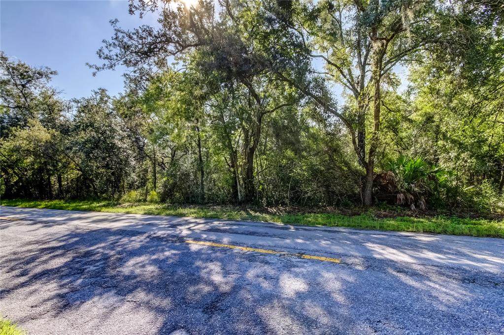 9670 Star Trl - Photo 1