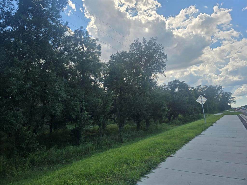 000 Cortez Boulevard - Photo 1