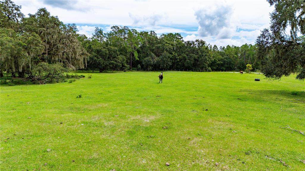  Pinkston Road - Photo 1