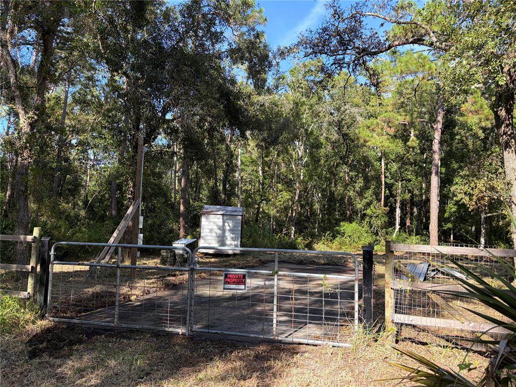 10548 Posen Street - Photo 1