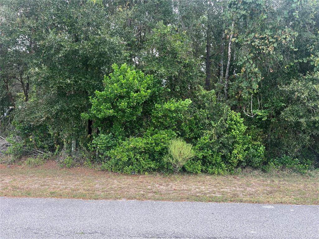 8014 Simmons Street - Photo 1