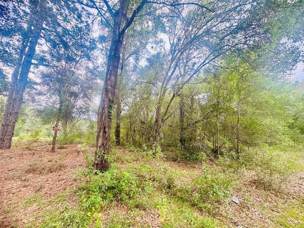 2203 Adams Street - Photo 1
