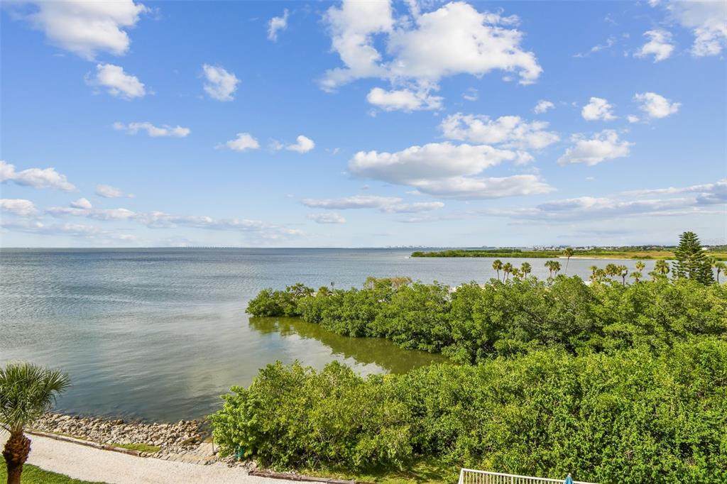 5000 Culbreath Key Way - Photo 1