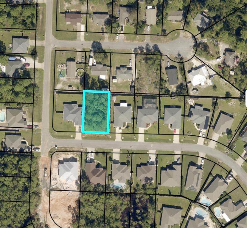  Longhorn Trail - Photo 1