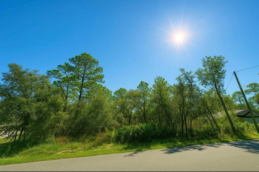 12036 Limpkin Rd - Photo 1