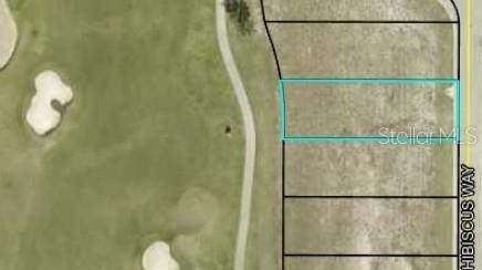 350 Hibiscus Way - Photo 1