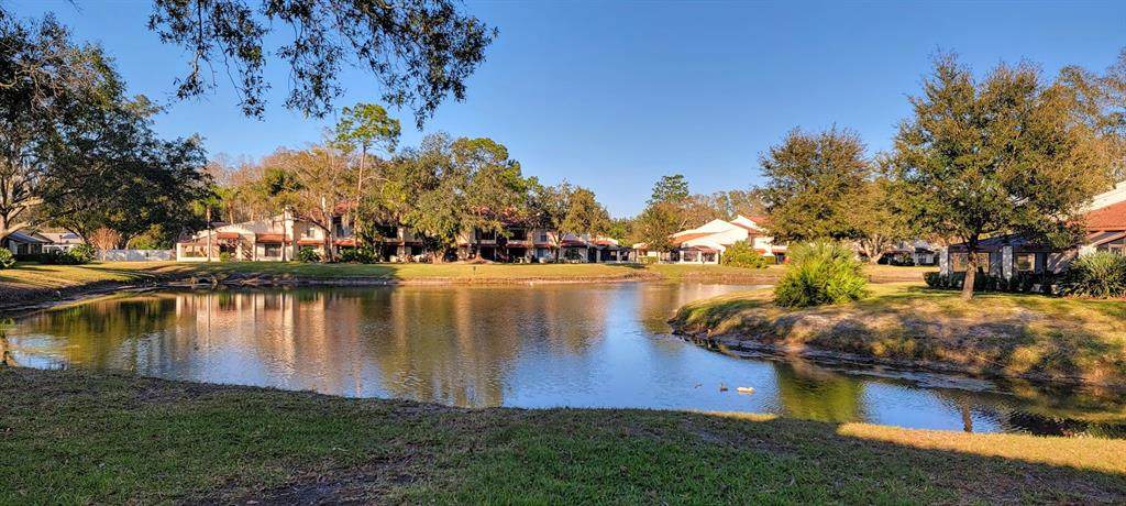 3505 Tarpon Woods Boulevard - Photo 1