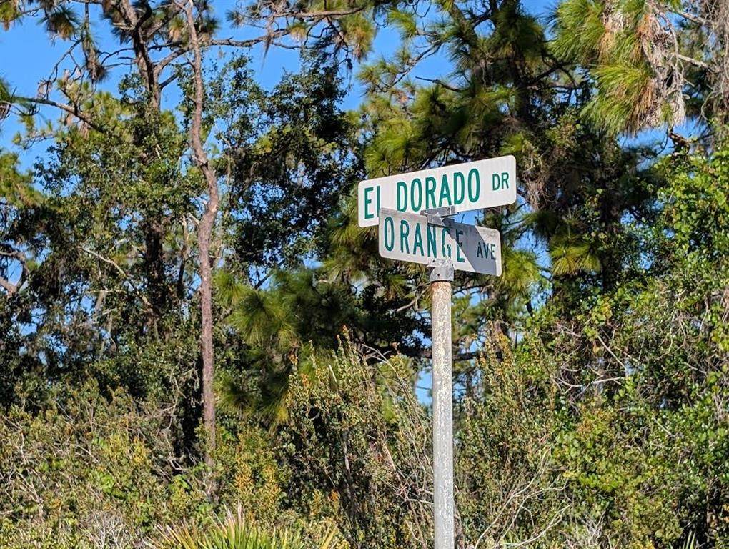 806 El Dorado Drive - Photo 1