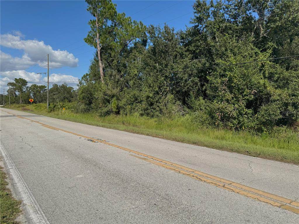 0 Alturas Babson Park Cut Off Road - Photo 1