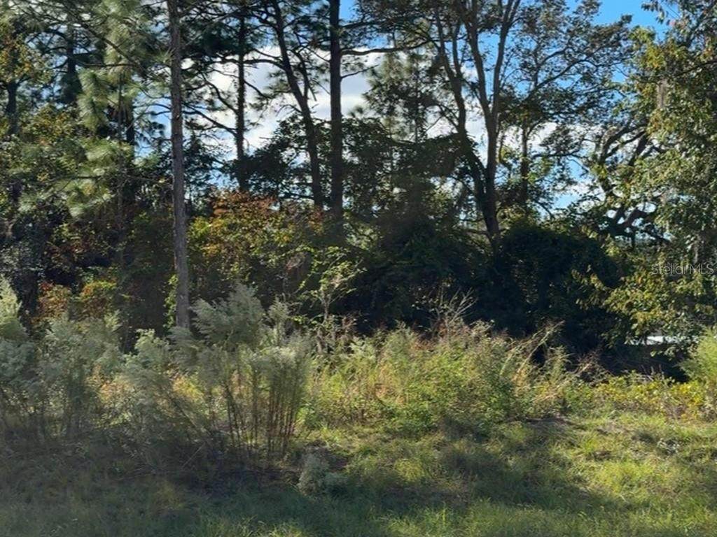 7800 Primrose Drive - Photo 1