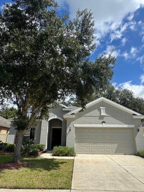 4081 Pacente Loop - Photo 1