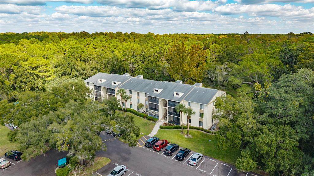 3232 Lake Pine Way - Photo 1