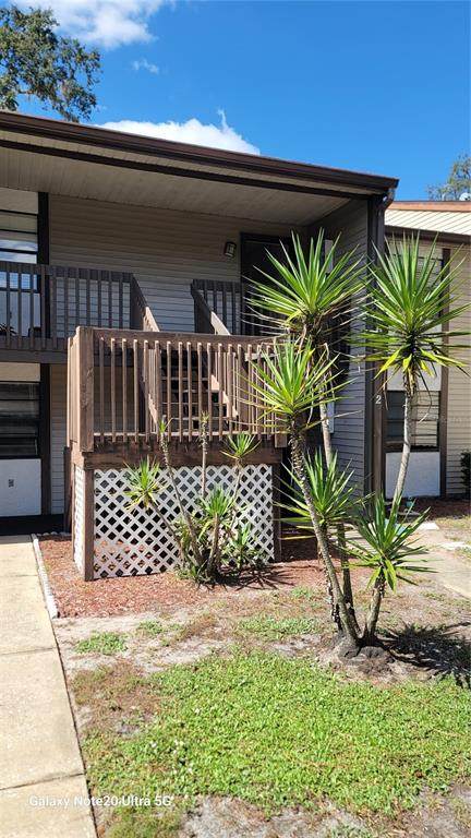 11411 Pike Court - Photo 1