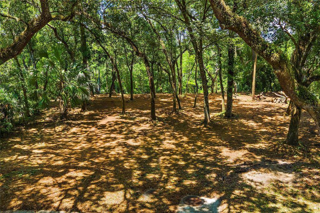 11731 Gail Drive - Photo 1