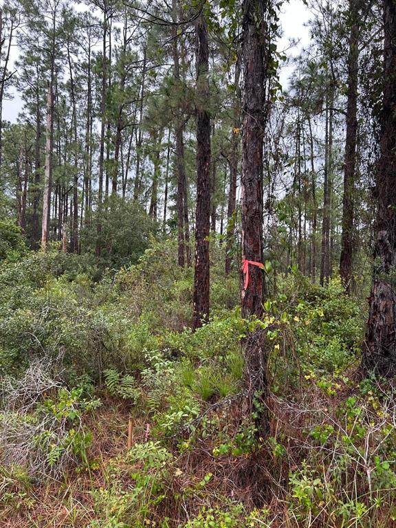 3117 51ST Street - Photo 1