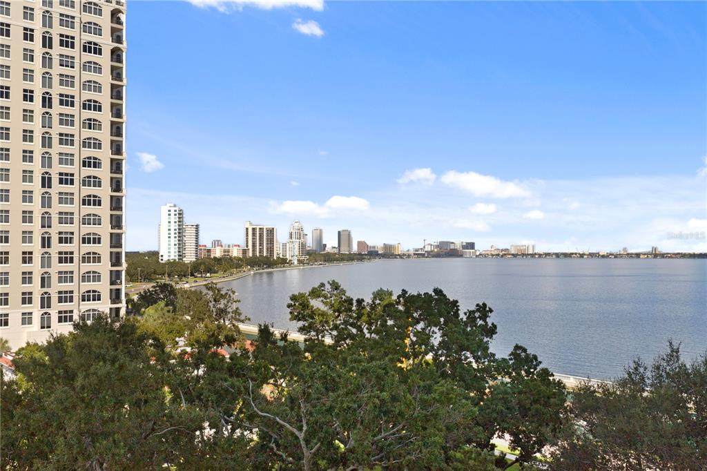 3301 Bayshore Boulevard - Photo 1