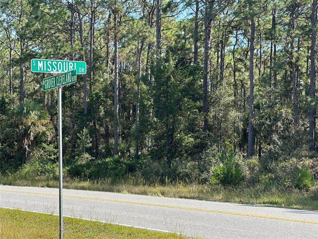 4025 Missouri Drive - Photo 1