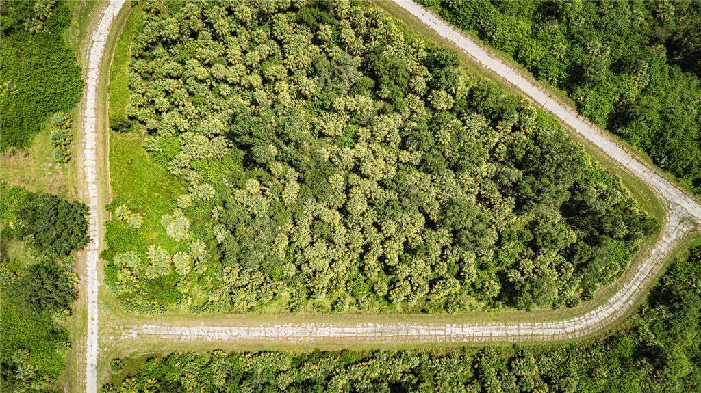  Batoko Street - Photo 1