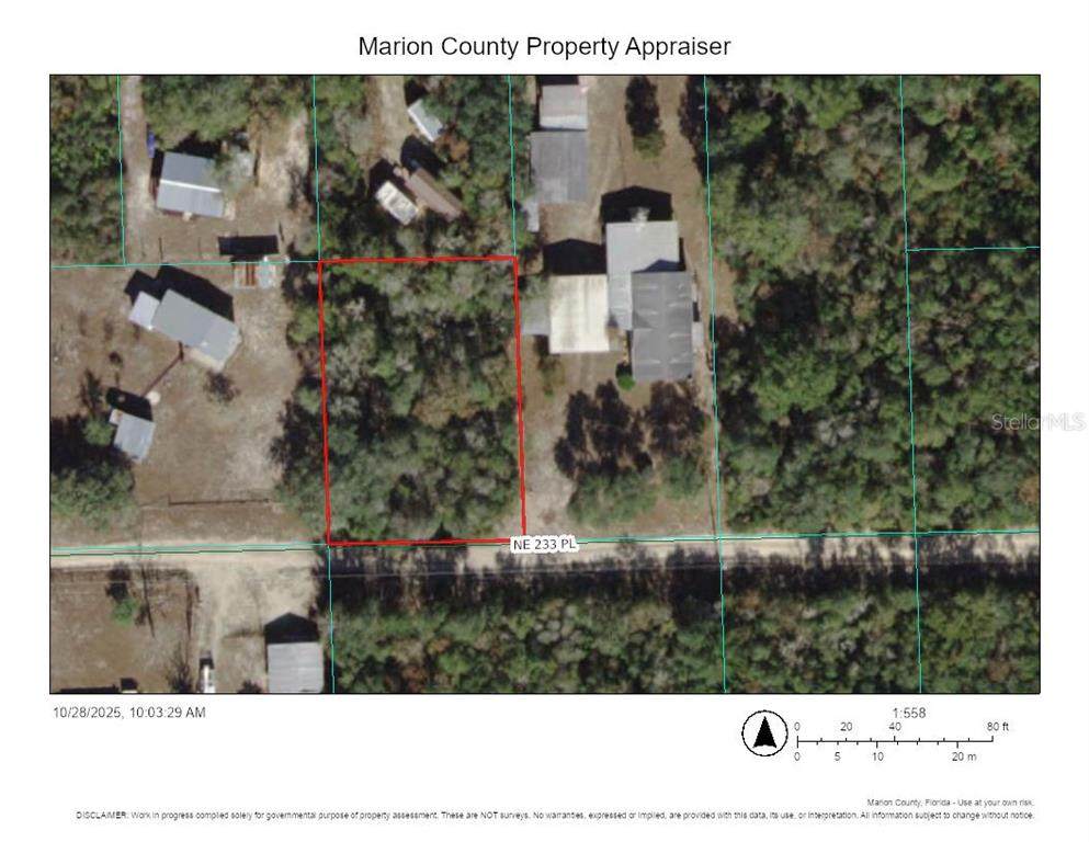 TBD 233RD Place - Photo 1