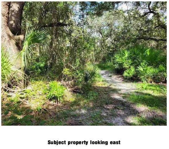  Lantana Avenue - Photo 1