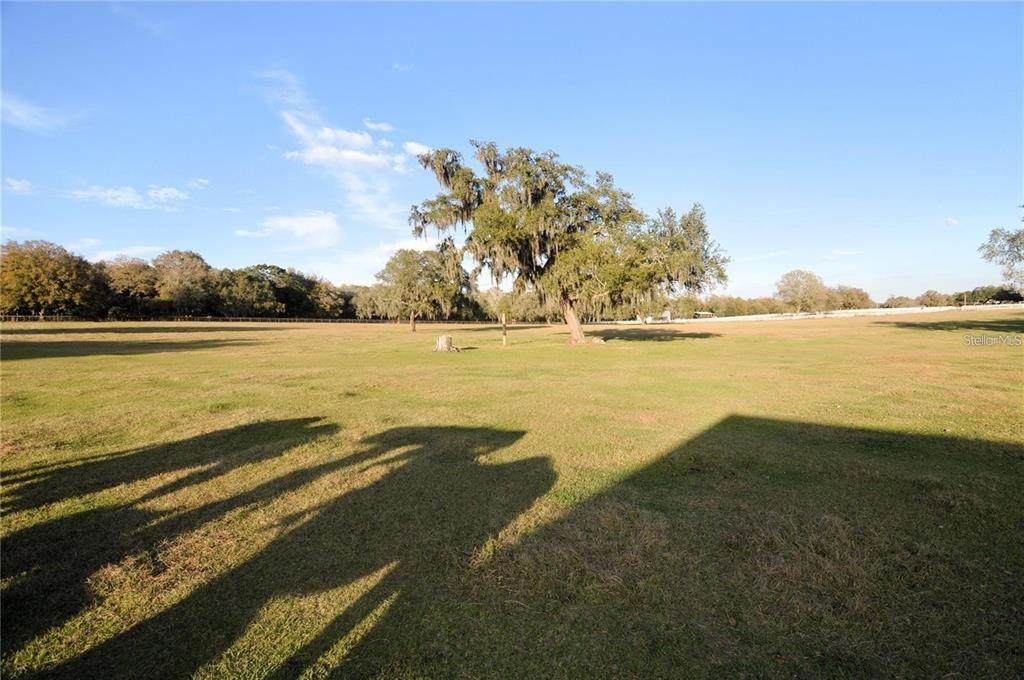  Arabian Way - Photo 1